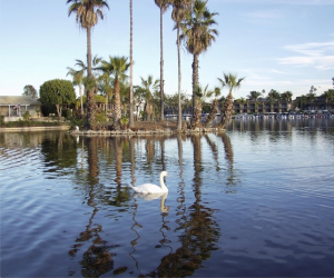 San Marcos